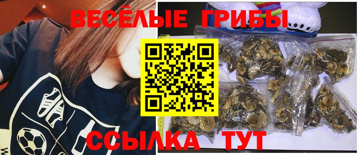 Ефремов  Галлюциногенные грибы мухоморы  Вход с VPN 