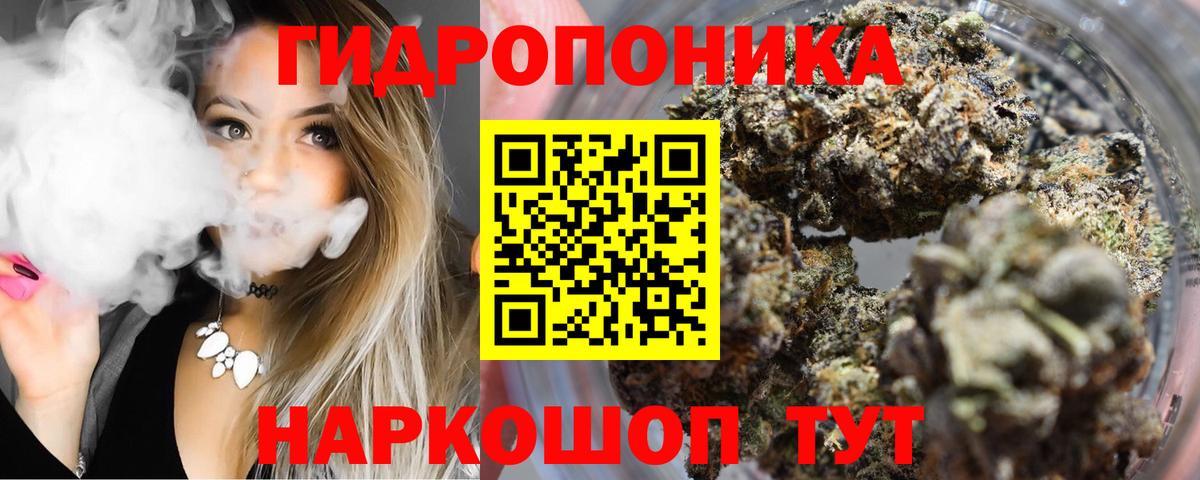 МАРИХУАНА семена  Бошки Шишки ГИДРОПОН  Вход с VPN  Бошки Шишки White Widow  Ефремов 